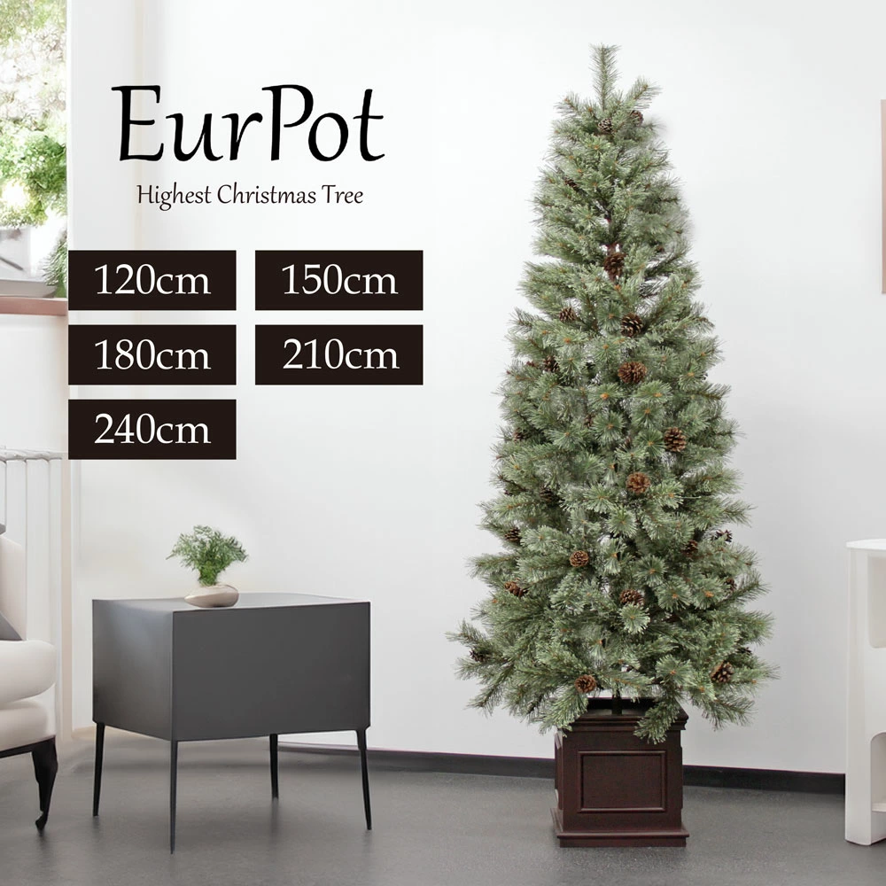 クリスマス屋 クリスマスツリー 210cm 松ぼっくり付き ドイツトウヒツリー